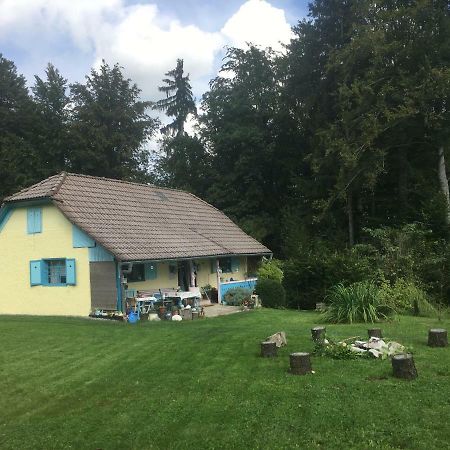 Blue Cottage Podvrh  외부 사진