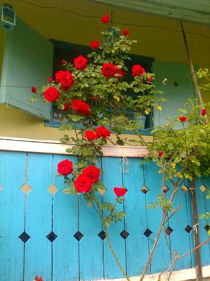 Blue Cottage Podvrh  외부 사진