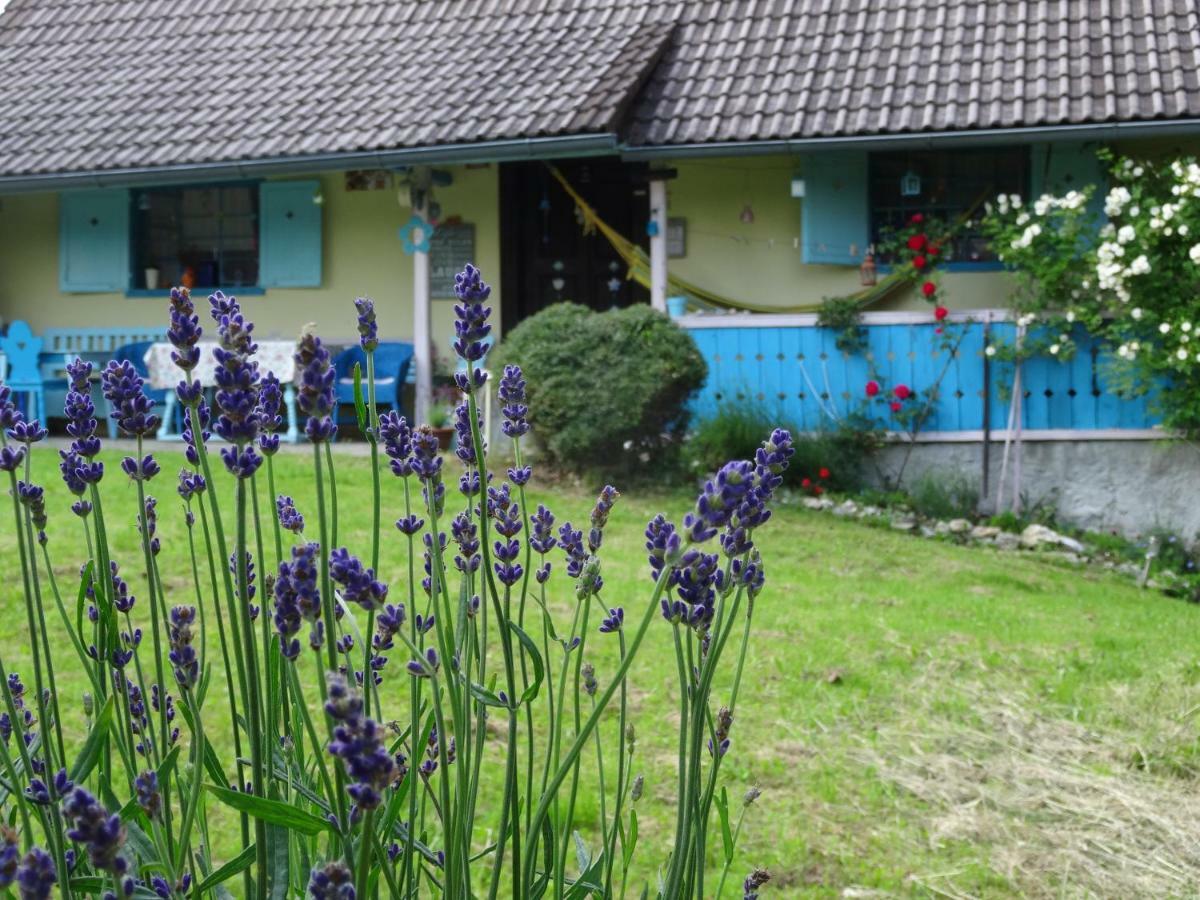 Blue Cottage Podvrh  외부 사진